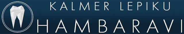Kalmer Lepiku Hambaravi
